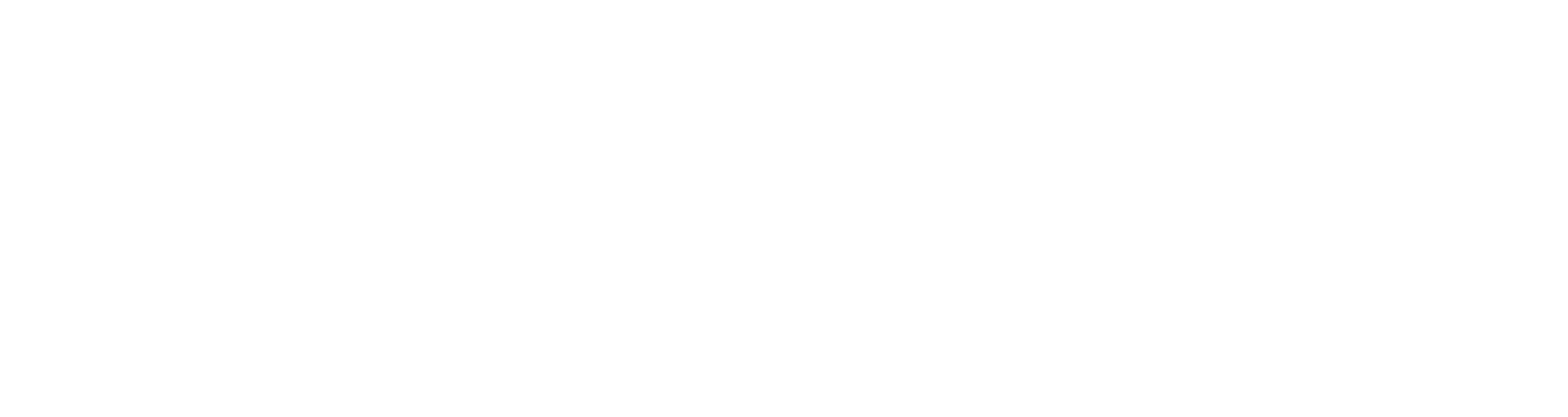 Access Healthcare Logo - White 